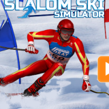 Experience the Thrill of Competition in Paralympic 1 Adventure!