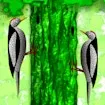 Little Woodpecker Game