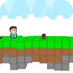 Sky Bros 2 Players Game