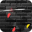 Slice the Fruitz Game