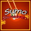 Sumo Showdown Game