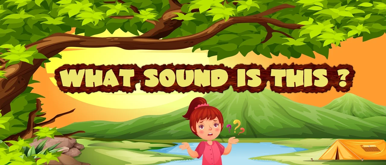 What sound is this ? Game